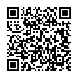 在夏剑身边一直都没有开口的满脸阴柔的青年忽然开口道二维码生成