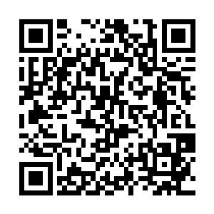 在外人眼里仿佛明月公子是依附他这个弟弟生活一般二维码生成