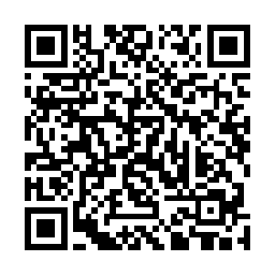 在外面看郑家私房菜给人的感觉就好像一户普通人家似的二维码生成