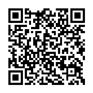 在多的恼愤也不及被姐姐的背叛带来的伤痛厉害二维码生成