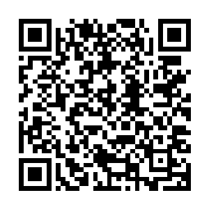 在夜染撑不下去的时候只给她一点点能够到达第二个缺口的力气二维码生成