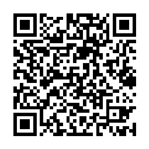 在大伙计的安排下开始有条不紊的把货物背下大船二维码生成