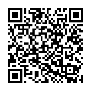 在大厅前面一个门里走出十二个穿着高开叉旗袍的美女二维码生成