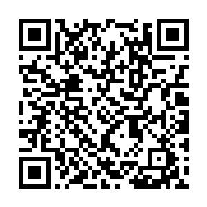 在大家坐下来仔细研究了系统兑换里的项目后……二维码生成