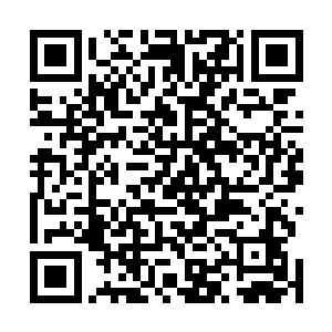 在大海的深处肯定有某些人类无法知晓的特殊因素在里面二维码生成