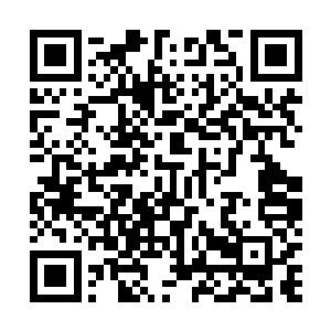在大营靠近西边的宽敞地面上赵樽的主帐居于营帐的正中二维码生成