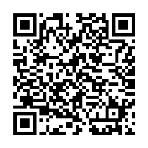 在大象的屁股上狠狠插了一刀之后就从攻城车底下窜了出来二维码生成