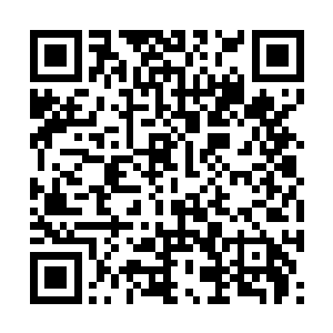 在天元大陆上一处距离纵横山脉极远的原始山脉中二维码生成