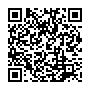 在天翼神虎还未成长起來时务必要助它一臂之力二维码生成