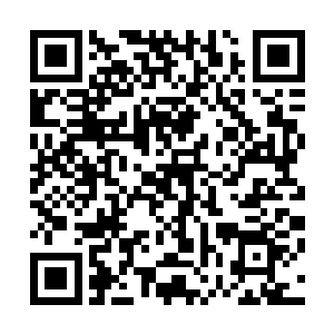 在太古遗迹中发现的上百代先驱者文明以及他们毁灭的经历二维码生成