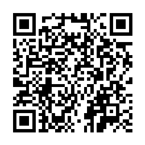 在夭华与乌云的一路打斗中同样被不断波荡开的内力震裂二维码生成