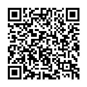 在夭华回大船来的时候已经被送回魔宫去医治了二维码生成