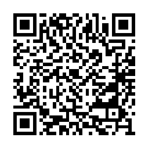 在夭华的话下直接将手中才刚喝了一口的酒放下二维码生成