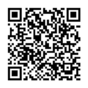 在奥斯卡上的胜利不仅仅是一场颁奖典礼的结果而已二维码生成