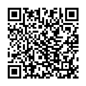 在女真高层权势之争中再不至于被东路军团体所压制下去二维码生成