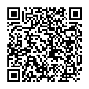 在她九年前被名剑山庄的少庄主明郁突然救回名剑山庄之前发生的一切二维码生成