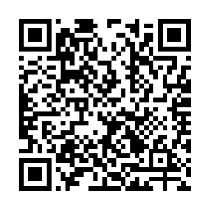 在她们两个人的视野中终于出现了一个圆形的洞窟二维码生成