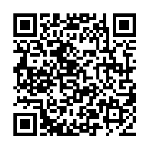 在她住进公寓的第三天墨伊宸去办理了领养手续二维码生成