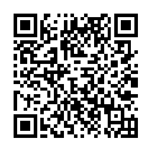 在她和柳清浅分开的时候说过要是找不到互相的话二维码生成