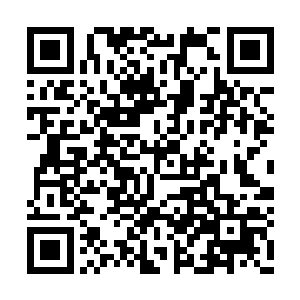 在她心里已经拿莲心当成自己的亲妹妹般对待了二维码生成