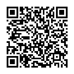 在她抱着红玫瑰的时候有人从另一端伸手帮忙着抱住二维码生成