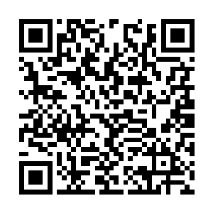 在她的对面有一个修士此时正坐在一个石蒲团之上二维码生成