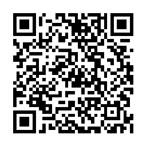 在她的拳头和江天水的鼻子之间出现了一张符箓二维码生成