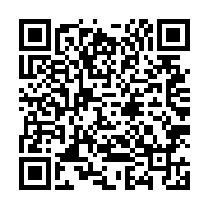 在她的本体世界里这就是她一项并不被人们在乎的特质二维码生成