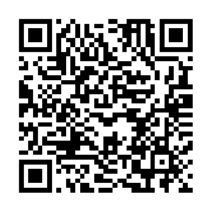 在她的治下一切欣欣向荣更符合她以及属于她的圈子的利益二维码生成