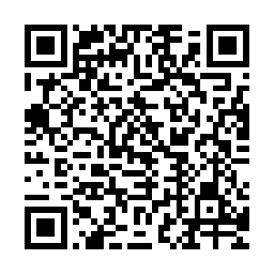 在她的身后是木淸牌和唐雨润带领着千符峰的新进弟子御剑跟随二维码生成