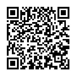 在她看来夏天出现在这里的唯一原因就是因为他又打架了二维码生成