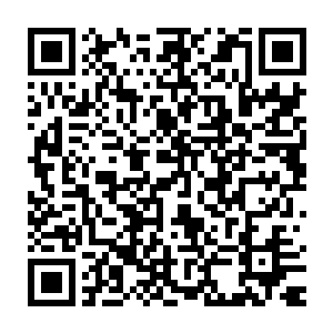 在她看来洁白如雪的梨花远比什么牡丹桃花兰花梅花要美丽高洁的多二维码生成