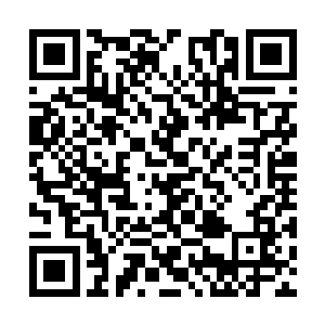 在她让海域修真者们震惊的不损一人灭杀全部之后二维码生成