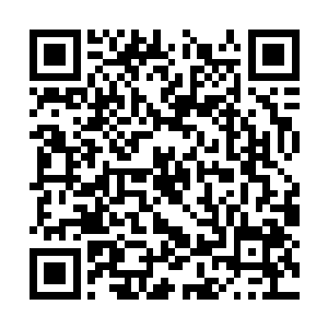 在她识海中只闪现出一串被混沌包裹的血红色小字二维码生成