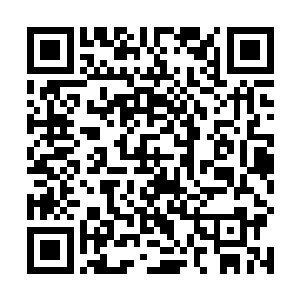 在她车的后备箱我取了我的长枪和陷入恢复之中的朵朵二维码生成