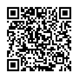 在她闭关修炼的第三天便突破到了绿级中期三品二维码生成