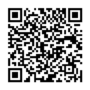 在好几处风景名胜地看到有准新娘和新娘们在拍婚纱照二维码生成