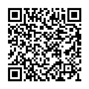 在好莱坞打滚十多年的莱昂纳多依旧是难免紧张二维码生成