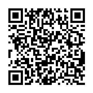 在如今不过是千万道攻击大潮中的一个组成分子二维码生成