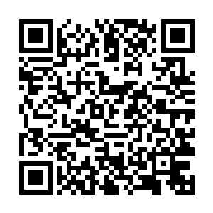 在如此强烈的魔晶石能量照耀下也只有束手待毙的份二维码生成