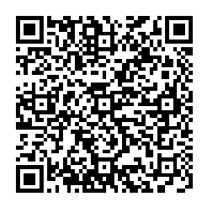 在妇人身后就是一个捧着相刊的男子跟一个舞着地摊上十块钱一把玩具剑一样的道士二维码生成