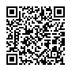 在孟南的声音传来之后被吓的不敢动弹的八足兽二维码生成