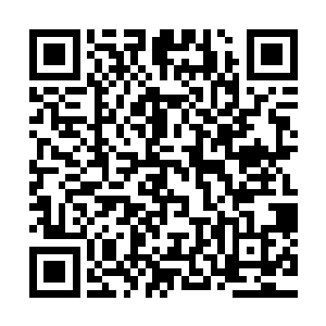 在孟奇与阿修罗始祖身前幻化出了一道满是万字符的金色大门二维码生成