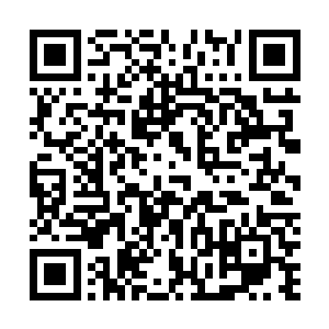 在宁海这个层面上的名头直接超越了市一级的衙内公子们二维码生成