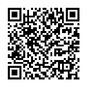 在它猎食诛心鬼的地方已出现一黑一百两道身影二维码生成