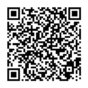 在它看来天龙宗有如此的条件要是再不能够崛起的话那就真的没有天理了二维码生成