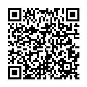 在它那一身防御力无比惊人的表皮上留下一道十字痕迹二维码生成