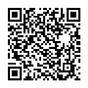 在实力相差无几或者一方占有优势的骑士的互相追击之中二维码生成