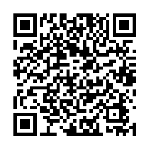 在宫中与皇后争得半壁锋芒的人也不是真的没脑子二维码生成