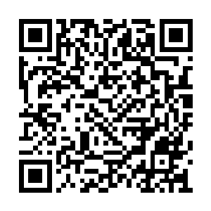 在密密麻麻的地仙群体中只是不起眼的一粒砂子二维码生成